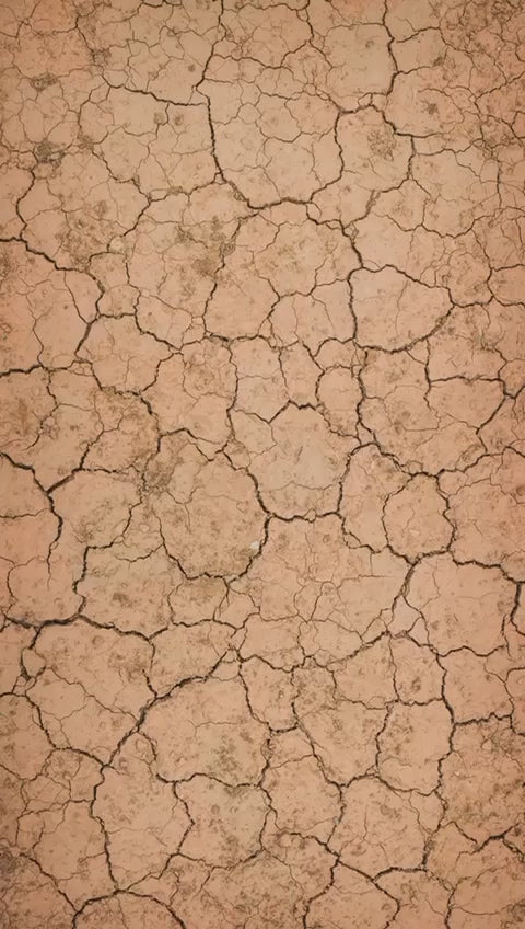 Shea Butter Body Lotion for Dry Skin – Moisturizing Cocoa Butter, Vitamin E, & Natural Hydration – Non-Greasy, Nourishing Lotion for Soft, Smooth Skin 500ml/1000ml