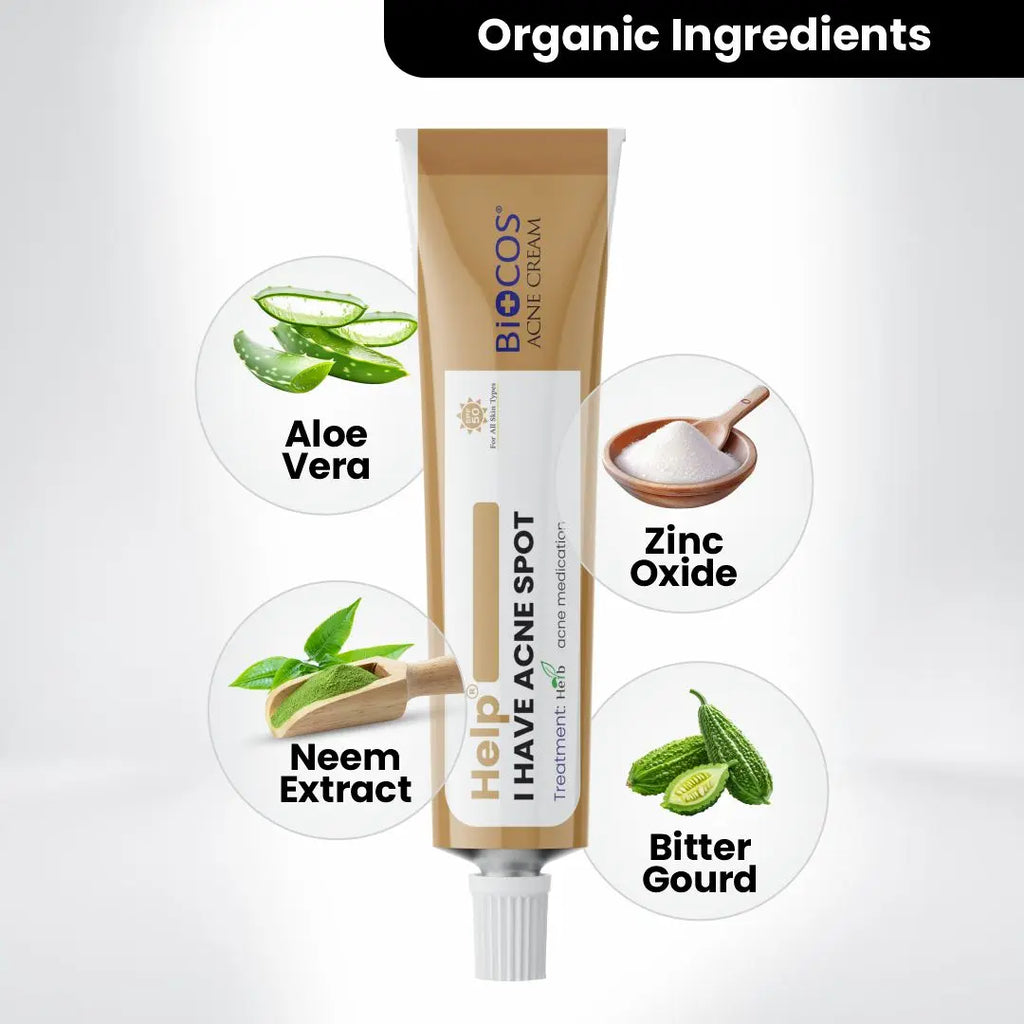 Anti Acne Cream for Blemishes, Scars & Breakouts – Hydrating Formula with Aloe Vera, Neem, Zinc Oxide & Bitter Gourd – Anti-Inflammatory & Skin Brightening,  - 12gm