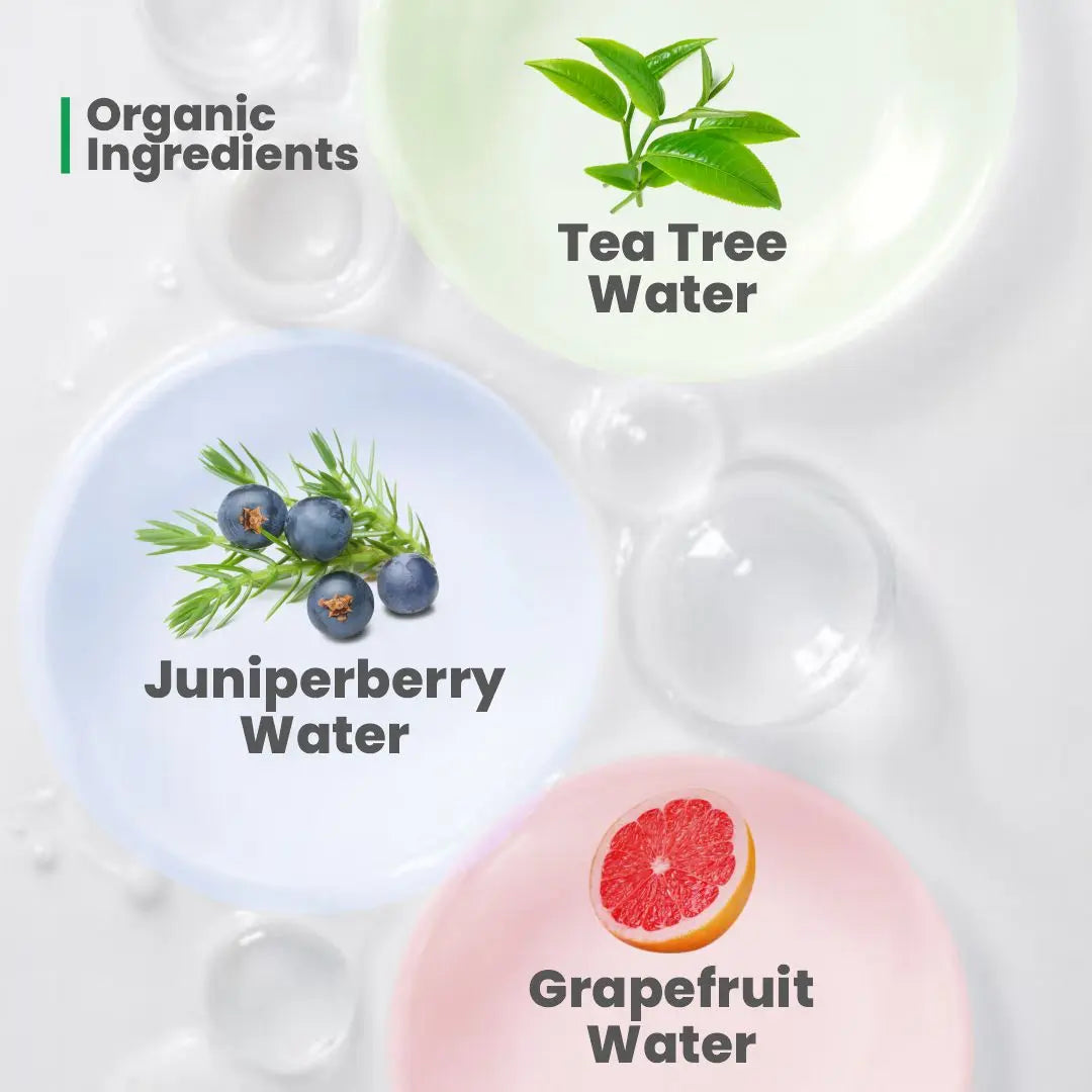 Tea Tree Water Facial Mist - Hydrating & Anti-Inflammatory Spray for Acne & Redness Relief, Blemish Treatment with Grapefruit & Juniperberry  -Pack of 2 ,120ml
