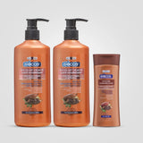 Body Lotion Deal 2 – Moisturizing Lotion with Shea for Dry Skin, Smooth & Soft Texture, Lightweight, Fast Absorption