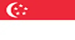 Singapore flag